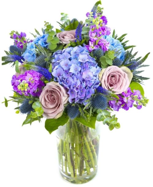 Get well soon - Purples, Blues & Lilacs