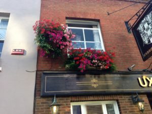 Flower Boxes and Hanging Basket Provision - Flowers By Flourish
