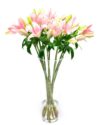 Pale Pink Lilies Flowers Delivered Letterbox Subscription Flowers -Pale Pink Lilies Flowers Delivered Weekly