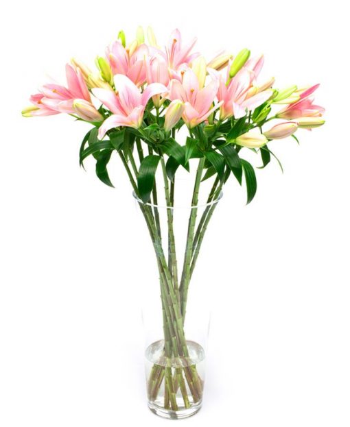 Letterbox Subscription Flowers -Pale Pink Lilies Flowers Delivered Weekly
