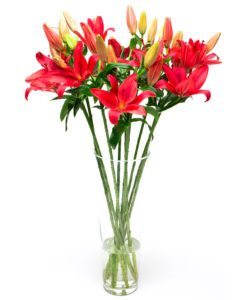 Monthly Lilies Subscription