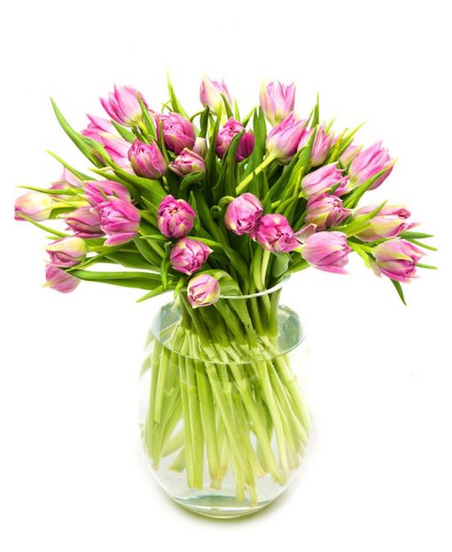 Letterbox Flower Subscription service - Pink Tulips Flowers Delivered Weekly