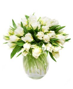 Gift Tulip Subscription