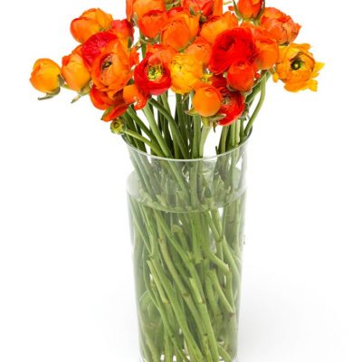 Weekly Subscription Flower Delivery – Orange Ranunculus Flowers Delivered