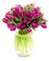 Subscription Flower Delivery - Purple Tulips Flowers Delivered Weekly