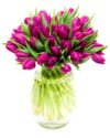 Purple Tulips Flowers Delivered Subscription Flower Delivery - Purple Tulips Flowers Delivered Weekly