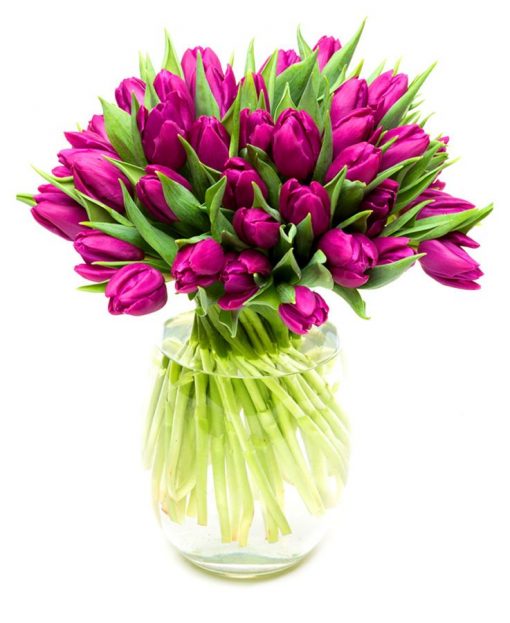 Subscription Flower Delivery - Purple Tulips Flowers Delivered Weekly