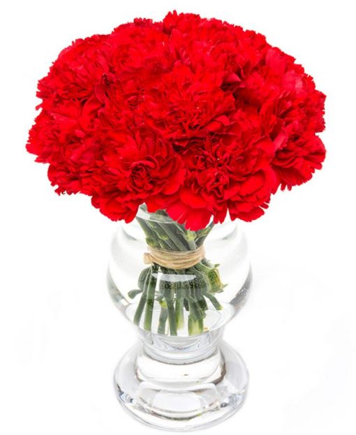 Fortnightly letterbox Flower Delivery - Red Carnations Flowers Delivered