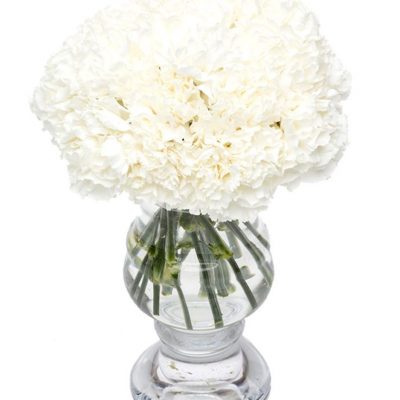 Fortnightly Subscription Flower Delivery Service - White Carnations Flowers Delivered