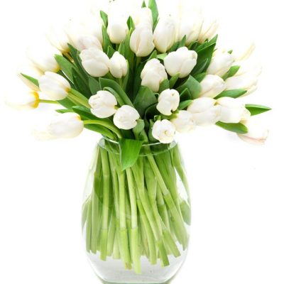 Weekly Flower Delivery – White Tulips Flowers Delivered Weekly