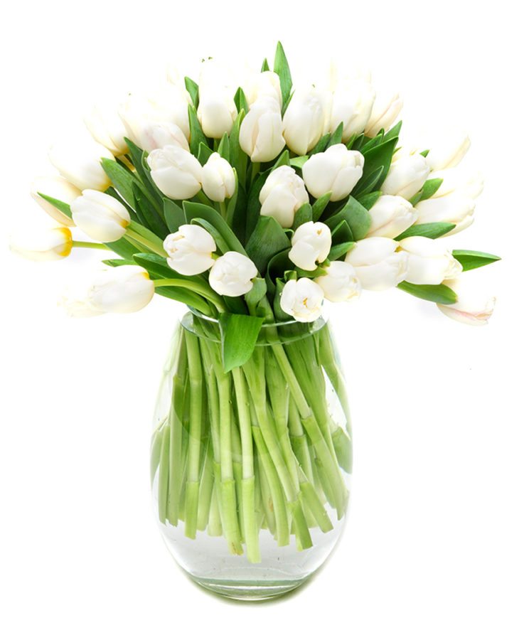 Weekly Flower Delivery – White Tulips Flowers Delivered Weekly