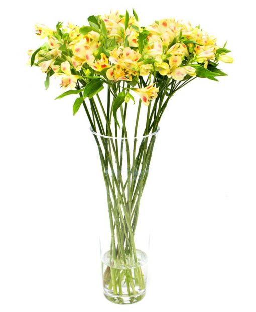 Subscription Flower Delivery Service - Yellow Alstroemeria Flowers Delivered Weekly