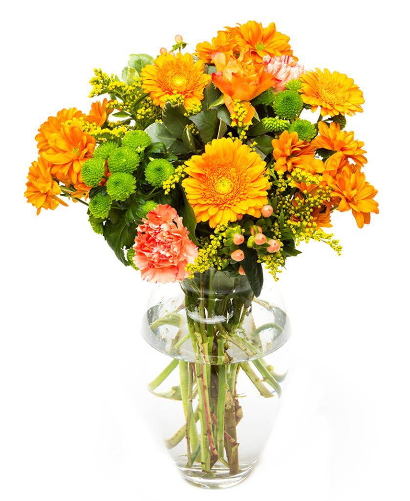 Gerbera Flower Delivery - VIA Orange