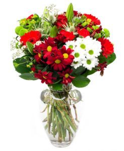 Gerbera Flower Delivery - VIA Red