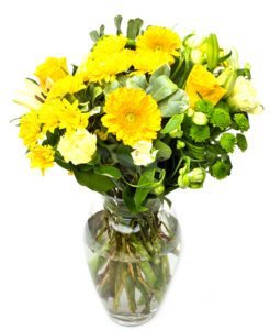 Gerbera Flower Delivery - VIA Yellow