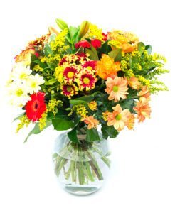 Gerbera Flower Delivery - VIA XI Peach