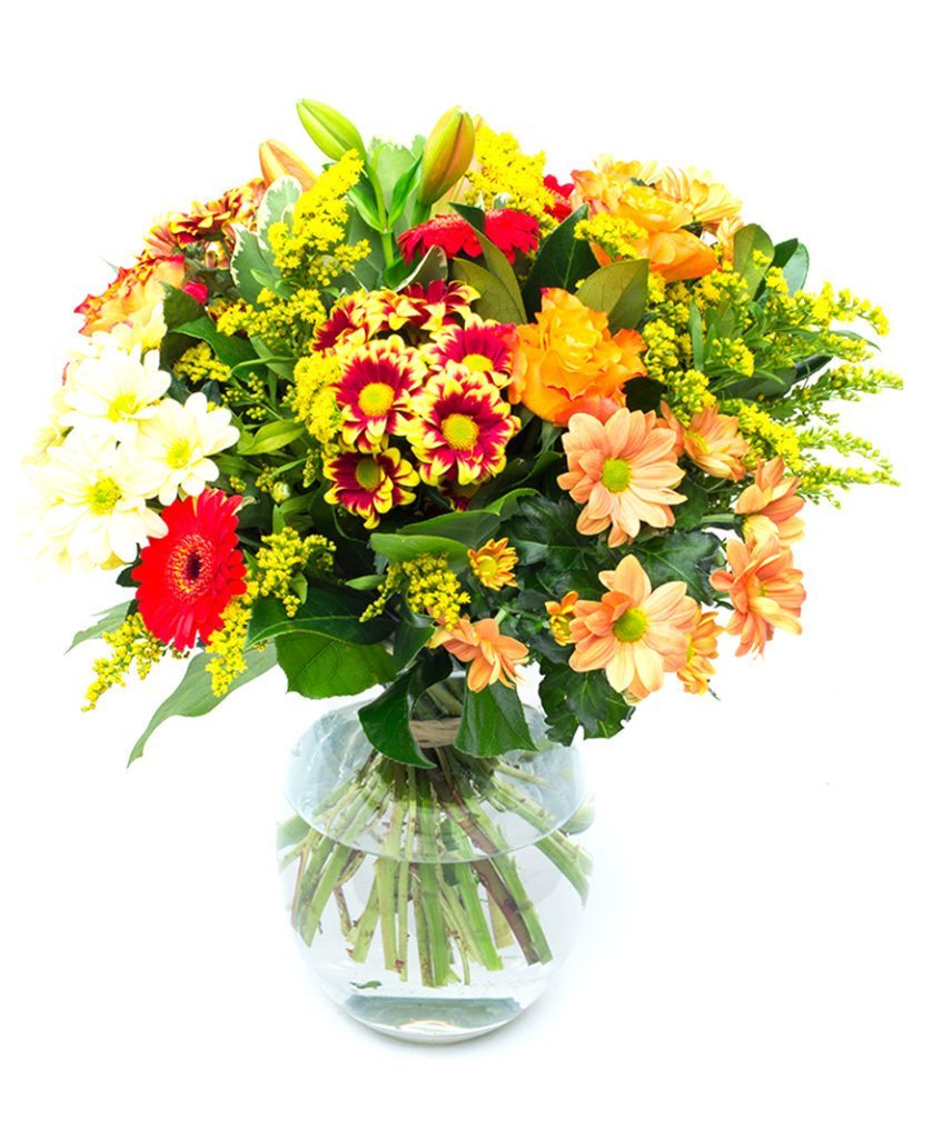 Gerbera Flower Delivery - VIA XI Peach