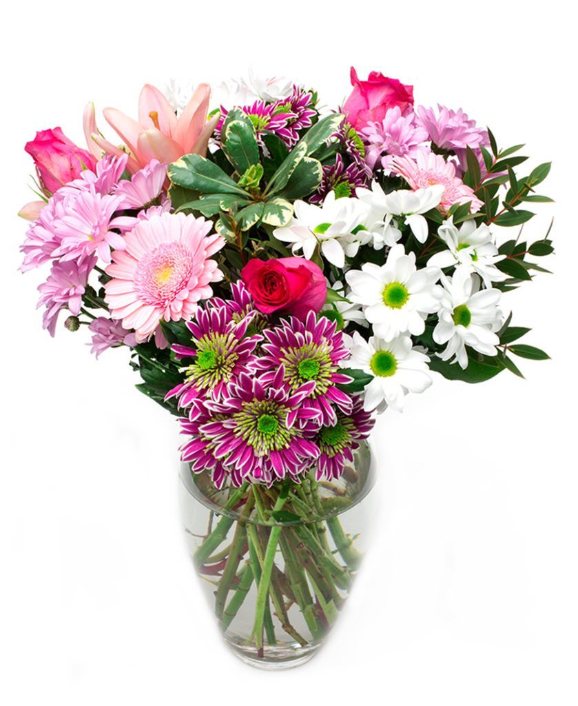 Gerbera Flower Delivery - VIA Pink