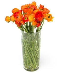 Bright Subscription Flowers