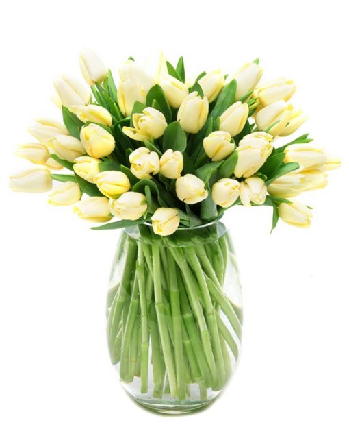 Weekly Flower Delivery – cream