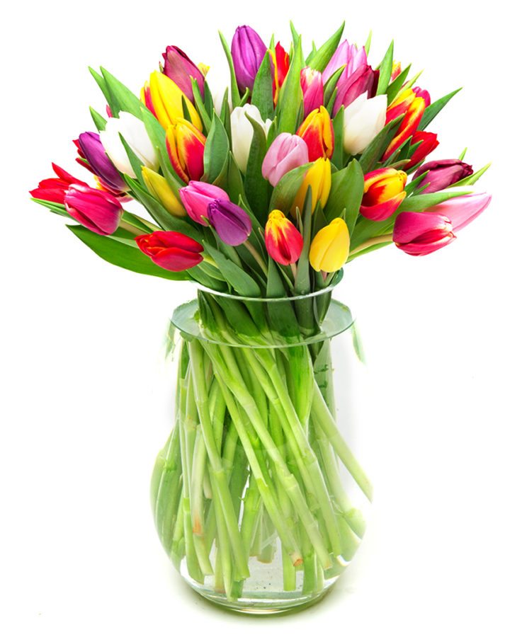 Tulips - Mixed | Flowers by Flourish | Use Code FBF10 for 10% Discount