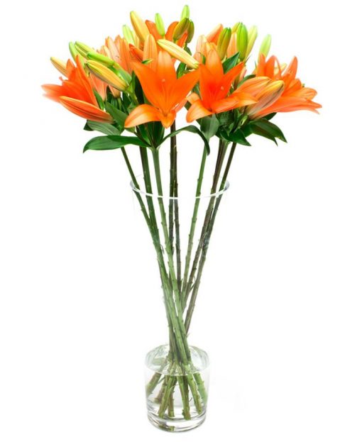 Fortnightly Flower Delivery – Asiatic orange lilies