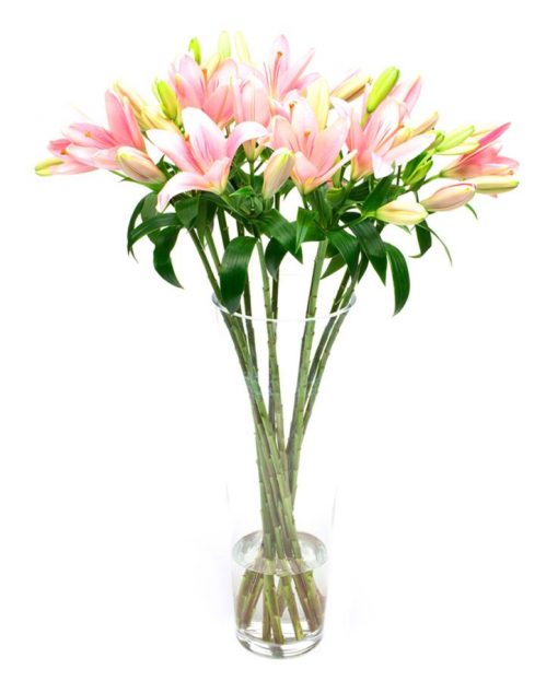 Lilies - Asiatic - Pink - Delivered weekly