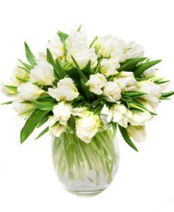 White & Green Double Tulips