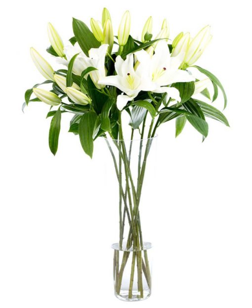 Flower Subscription - Lilies - Oriental - White
