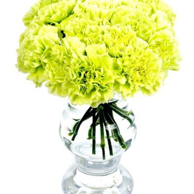 Green Carnation Flowers Delivered - Nationwide Flower Delivery