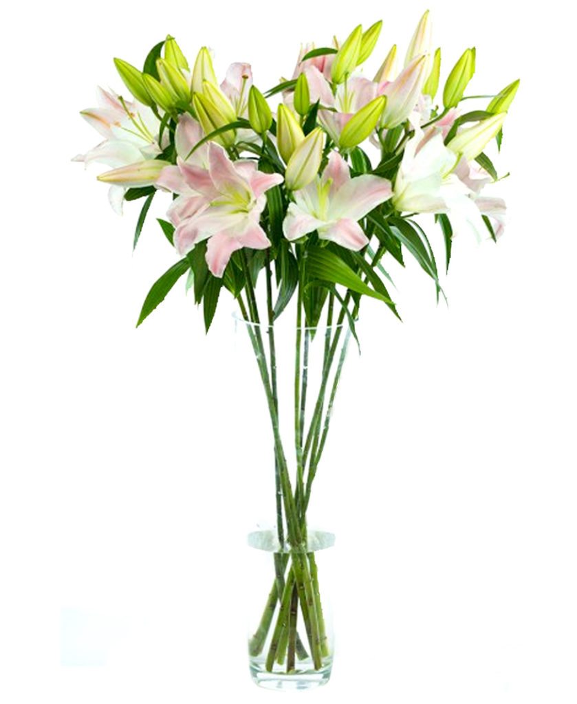 Fortnightly Flower Delivery - Lilies - Pink