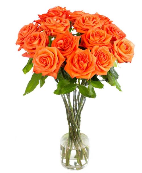 Weekly Flower Delivery –Roses - Long Stemmed - Orange