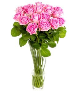 Pink Roses Long Stemmed