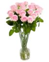 Long Stemmed Roses - Soft Pink Long Stemmed Roses - Soft Pink