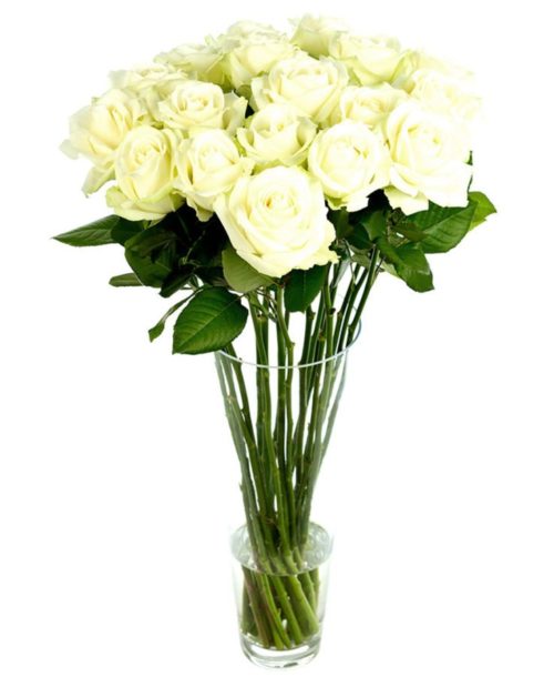 Weekly Flower Delivery – Roses - Long Stemmed - White