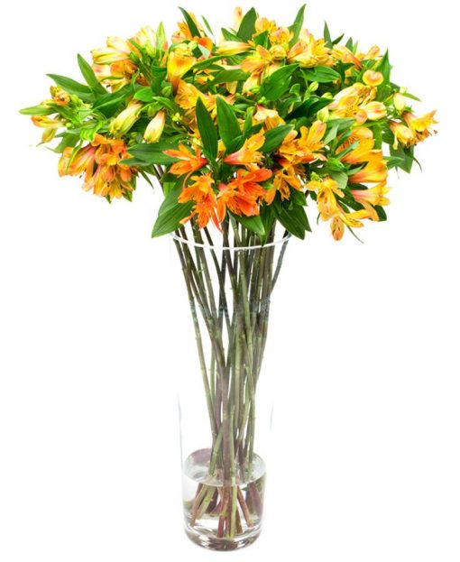 Subscription Flower Delivery - Orange Alstroemeria Flowers Delivered