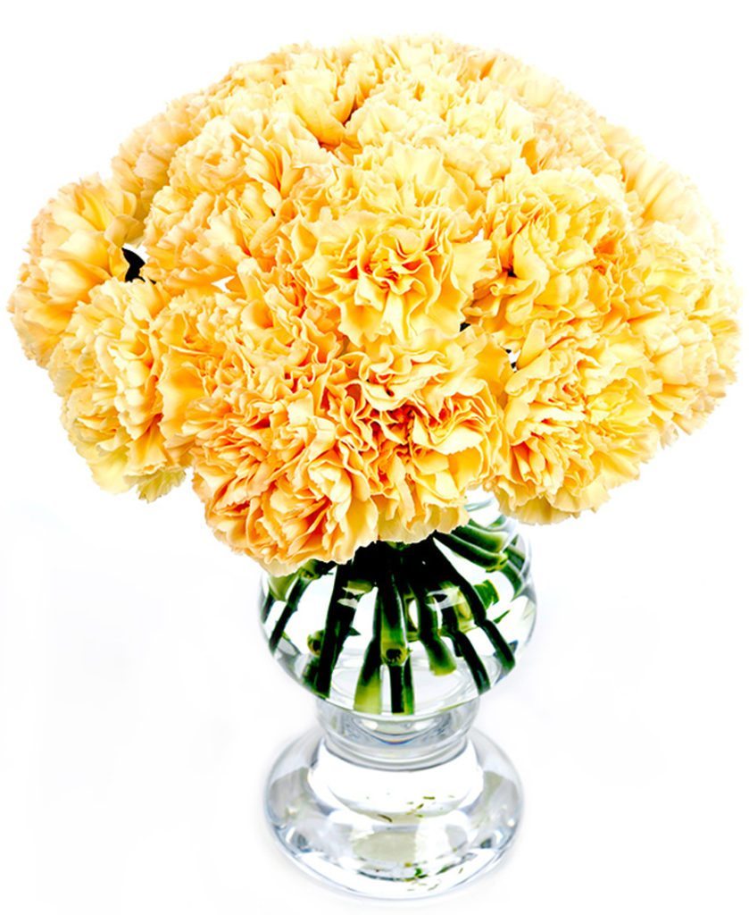 Weekly Flower Delivery - Carnations - Peach