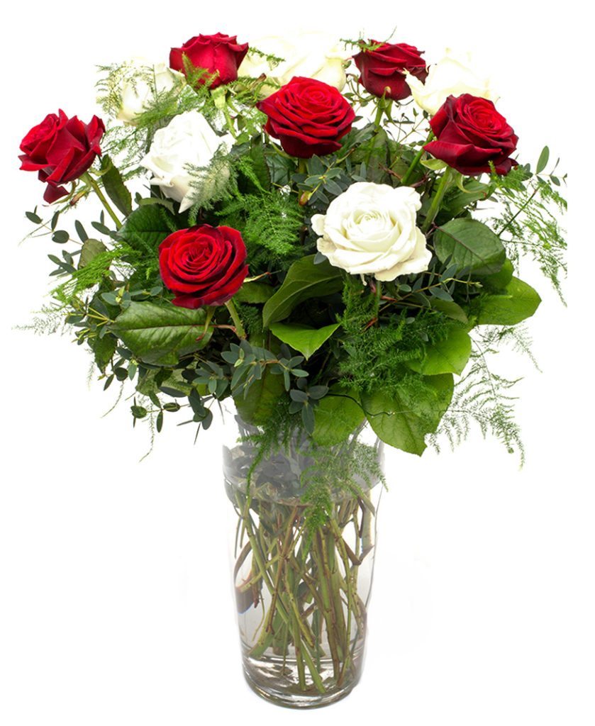 Roses & Foliage - Red & White