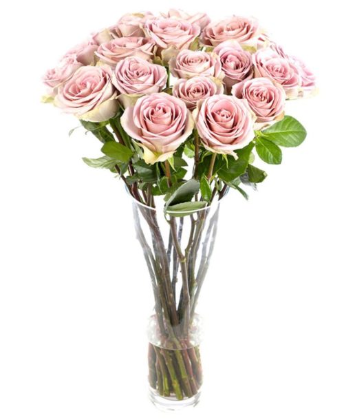 Weekly Flower Delivery –Roses - Long Stemmed - Amnesia