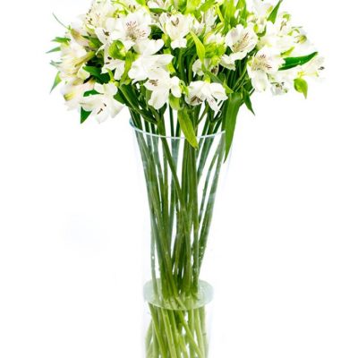 Letterbox Flower Delivery - White Alstroemeria Flowers Delivered