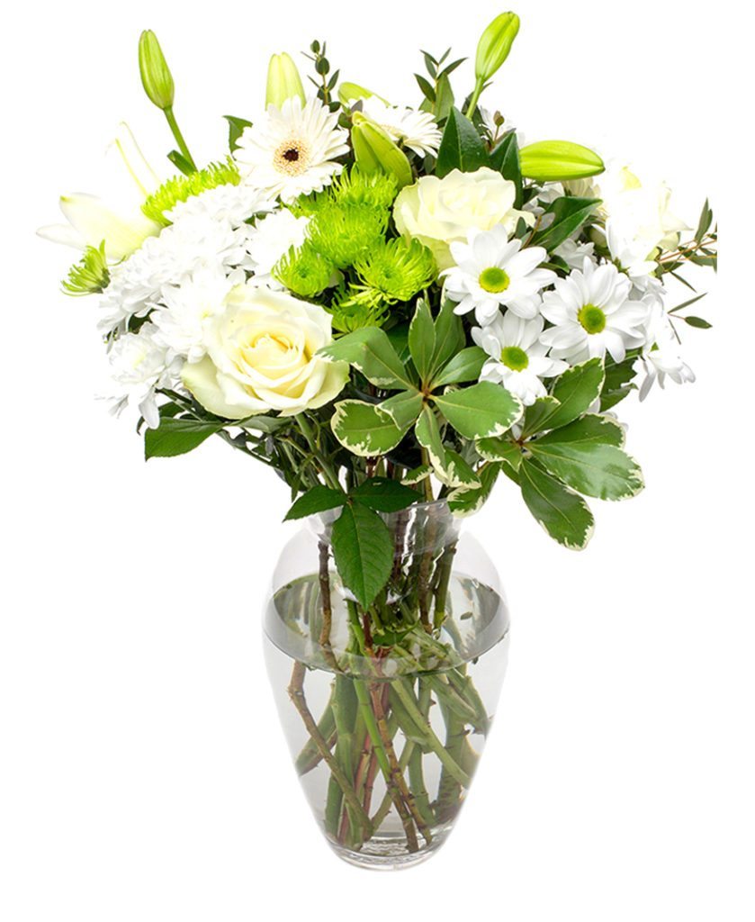 Gerbera Flower Delivery - VIA White