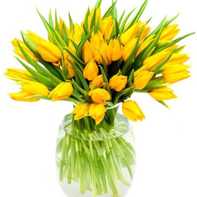 Weekly Flower Delivery – Yellow Tulips for the Home or Office