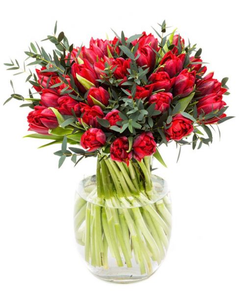Valentines Day - Red Tulips and Foliage