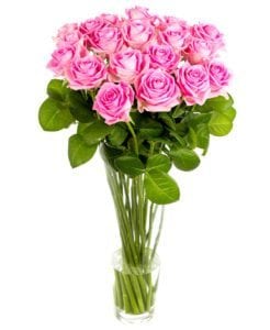 Pink Roses Subscription