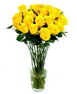 Roses Flower Subscription