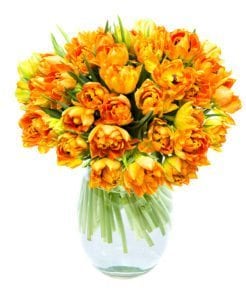 Floral Bunches Subscription