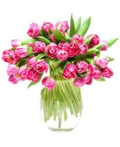 Pink Subscription Flowers
