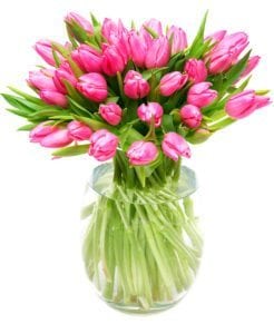 Pink Subscription Flowers