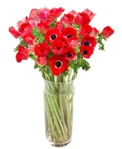 Red Subscription Flowers