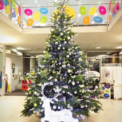 Office Christmas Tree - Decorated - Green, Purple & Silver